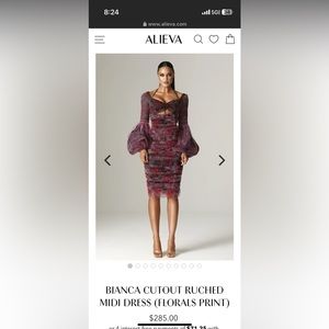Alieva brand gorgeous dress